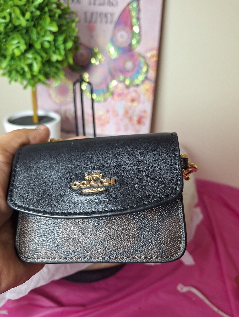 Coach Mini Signature - Picture 3 of 12